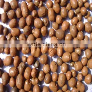 Factory Supply 2-4mm Ceramsite Filter Media for Water Treatment thumbnail-1