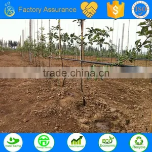 Drip Irrigation Tube for Drip Irrigation Equipment thumbnail-4