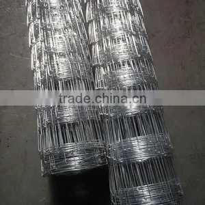 Cheap Animal Wire Mesh Fence for Sale (Big Factory in Anping) thumbnail-3