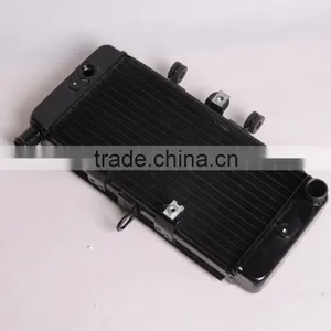 Aftermarket OEM Radiator for JADE250 thumbnail-1