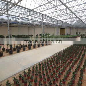 Polycarbonate Sheet Greenhouse thumbnail-4