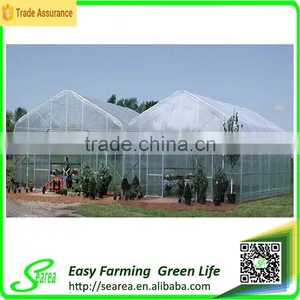 Gutter Height Commercial Polycarbonate Greenhouse for Used thumbnail-1