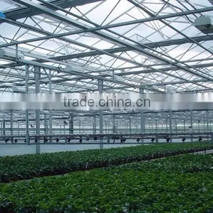 Chengdu BaoLiDa Low Price 20 Micron Polythene Greenhouse pe Film Greenhouse thumbnail-6