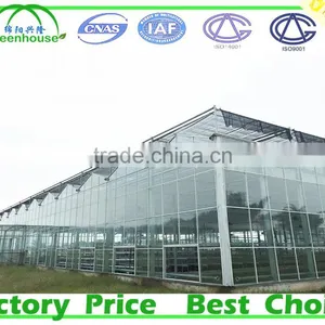 Large Size and Glass Cover Material Low Cost Greenhouse thumbnail-2
