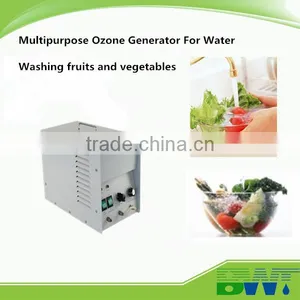 5g/h Ozone Air Cooling Portable Machine Oil Water Air Freshener Machine thumbnail-3