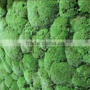 Exterior Grade Green Walls Fake Green Wall Backdrop thumbnail-5