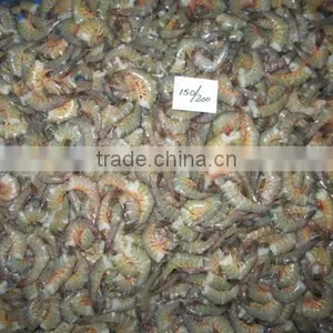 Frozen HLSO Karikkadi Shrimps thumbnail-2