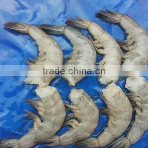 Vannamei Shrimp thumbnail-2