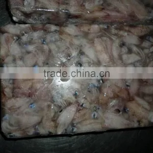 Frozen Baby Squid thumbnail-1