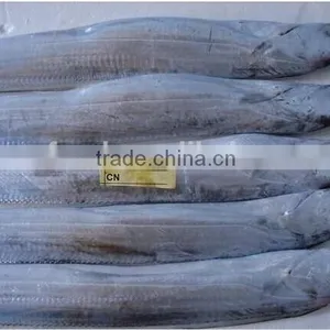 Ribbon Fish thumbnail-1