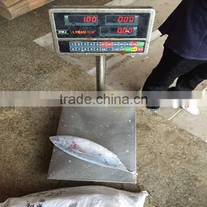 High Quality Frozen Whole Round Fish Bonito thumbnail-1