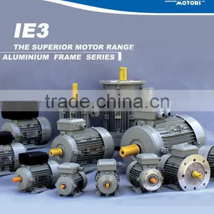 IEC Standard Three Phase IE3 Electric Motor With CE thumbnail-1