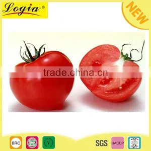 Organic Tomato Paste Bulk Tomato Paste Price Ton thumbnail-1