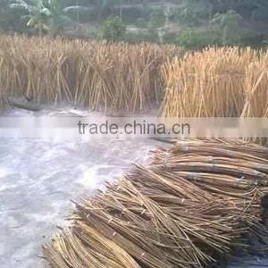 Raw Rattan Cane, Rattan, Cane, Rattan Meterial, Raw Material, Rattah Raw Mateiral, Rattan Cane, Rattan Pole, Pole, Raw thumbnail-1