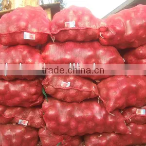 pp Onion Sacks 10kg thumbnail-1