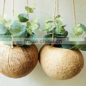 Ex-fty Most Affordable Coconut Box/storage Container for Green Plant thumbnail-1