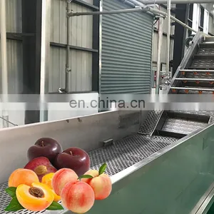 Industrial Fruit Vegetable Puree Jam Making Machine Production Line thumbnail-5