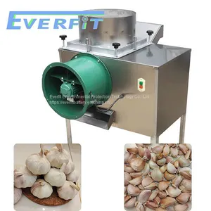 Commercial Garlic Breaking Machine thumbnail-1