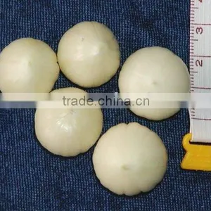 Pearl Garlic/Single Clove Garlic thumbnail-1