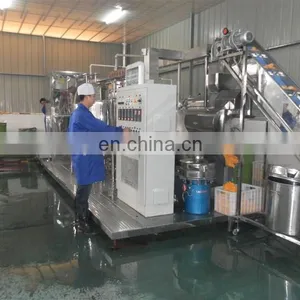 Fruit Juice Plant Industrial Apple Juicer Belt Extractor Machine thumbnail-5