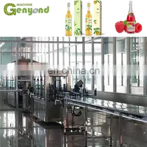 Small Fruit Wine Making Machine thumbnail-4