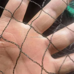 HDPE Grape Protection Net Anti Bird Net Agricultural Vineyard Hail Protection Net thumbnail-4