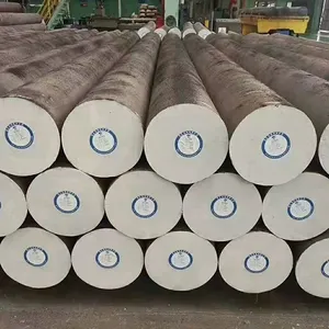 Black Surface Hot Rolled Steel Round Bar for Construction and Infrastructure thumbnail-4