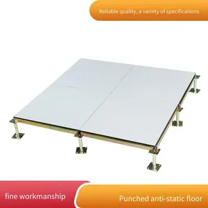 Anti-static Ceramic Floor Tiles, All-steel Ceramic Veneer Raised Floors. the Strip Board Has a Point Load of 220kg, and the Perforated Board Has a Point Load of 260kg. Suitable for Electronic Workshops thumbnail-1