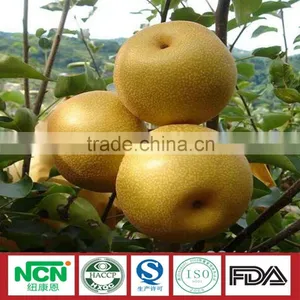 2016 Fresh Grown Pear thumbnail-4