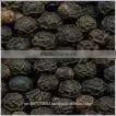 BLACK PEPPER 600 GPL thumbnail-1