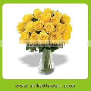 Newest White Fresh Cut Rose Flower thumbnail-6
