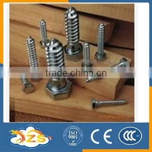 Stainless Steel Wooden Screw Hex Head Bolt Din571 thumbnail-1