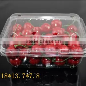 PVC Plastic Packaging Container for Tomatos thumbnail-2