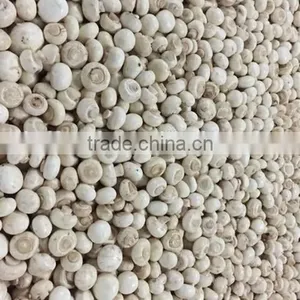 IQF Frozen Button Mushroom thumbnail-4