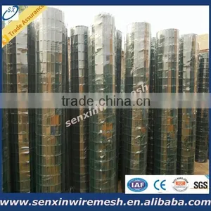 China Manufacturer Galvanized Welded Wire Mesh Panel or Roll , Pvc Coated Welded Wire Mesh thumbnail-2
