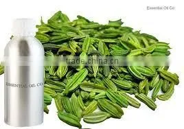 Fennel Oil (Foeniculum Vulgare) thumbnail-5