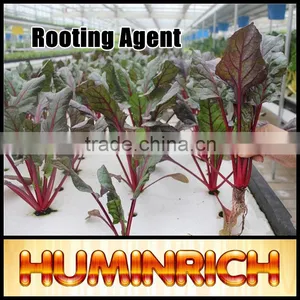 FAQ 16--How To Use The Potassium Humate Fulvate Fertilizer As A Rooting Agent? thumbnail-2