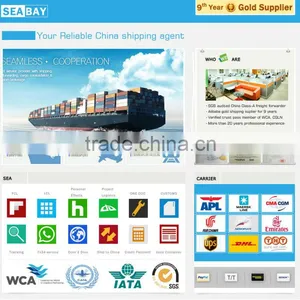 Competitive Sea Freight Shipping From China to Belgium thumbnail-2