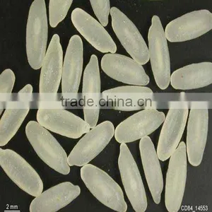 Enriched Rice Processing Machine thumbnail-2