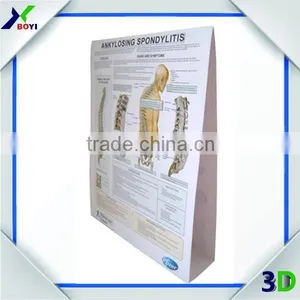 High Definition 3D Embossed Plastic Medical Wall Posters, OEM 3D Anatomical Charts thumbnail-5