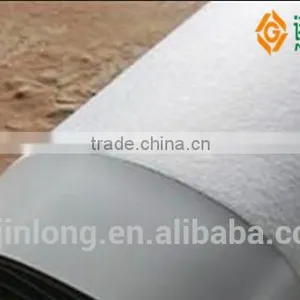 PVC Foundation Waterproofing Membrane thumbnail-6
