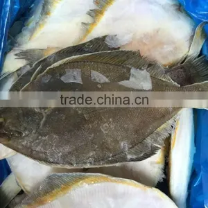 2016 New Coming Frozen Plaice/flatfish for Sale thumbnail-1