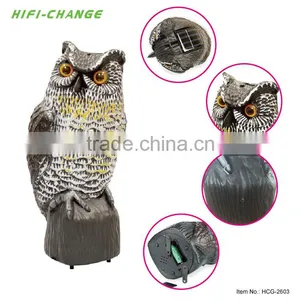 China Wholesale Sale All New Season IQF Frozen Chestnut thumbnail-2