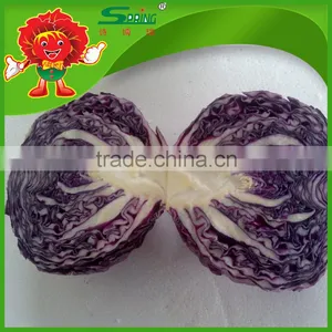 2016 Fresh Purple Cabbage Chinese Organic Cabbage thumbnail-2