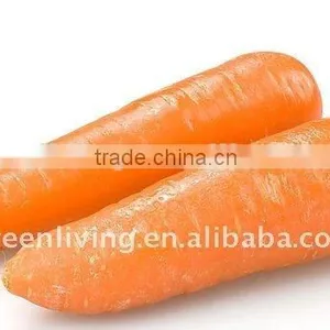 New Harvest Crop Dehydrated Vegetable thumbnail-1