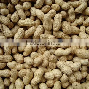 Chinese Peanuts thumbnail-1