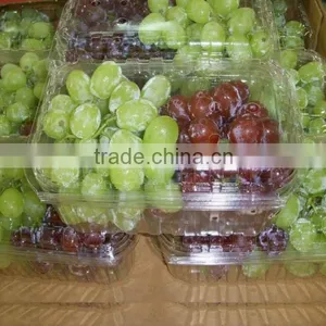 FRESH SWEET GRAPES thumbnail-1