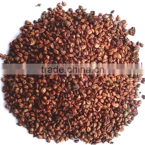 Manufactory Supplier of 95% OPC Grape Seed Extract thumbnail-3