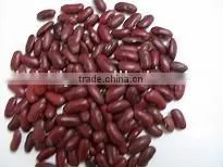 Dark Red Kidney Bean thumbnail-1