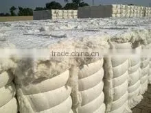 Raw Cotton thumbnail-1